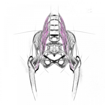 Bozzetto Anatomico Psoas
