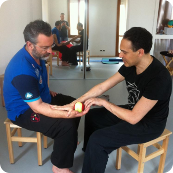 The anterior wall of the body and its qualities