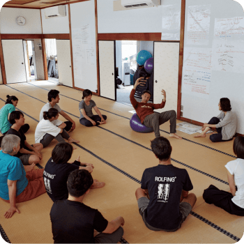 The separation dorsal to ventral space during the post-natal period The separation dorsal to ventral space during the post-natal period